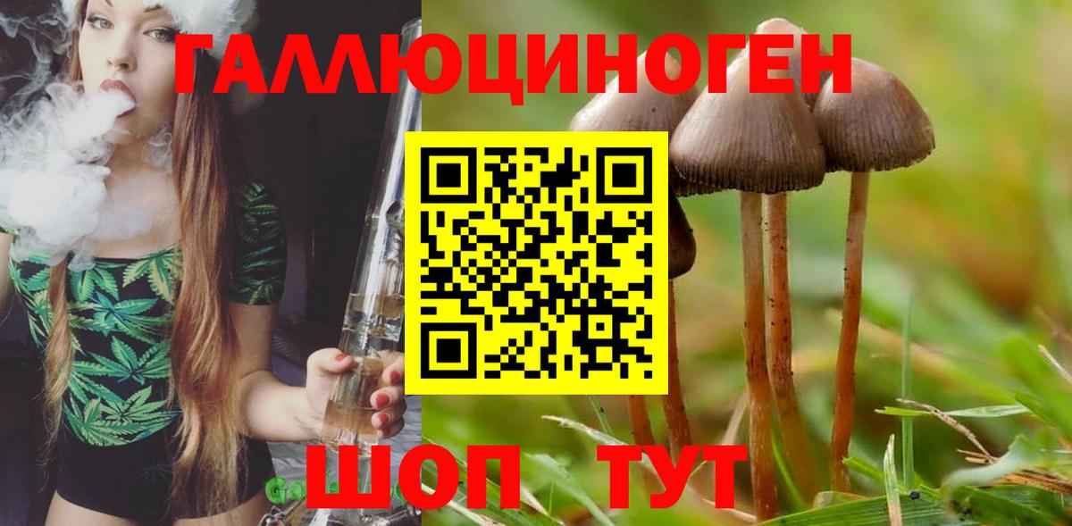 Псилоцибиновые грибы прущие грибы Дедовск